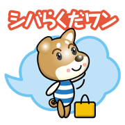 working shiba inu