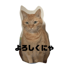 junko_20201031221208