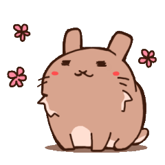 rabbit hare
