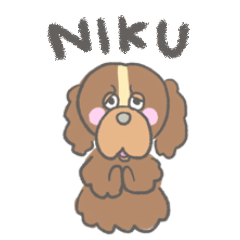 NIKU THE Kawaii DOG
