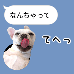 Taro chan's Sticker balloon