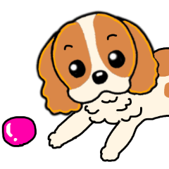 Adorable Cavalier dog Stickers