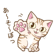 Cat "Poohchan"