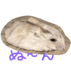 asuka_20201031190404