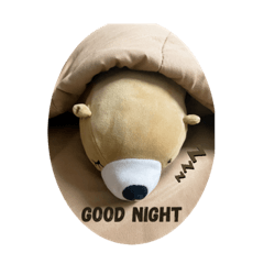 BearBear_20201031181533