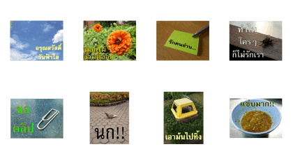 Slang humor photos V.1