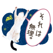 Niniko&Kuro
