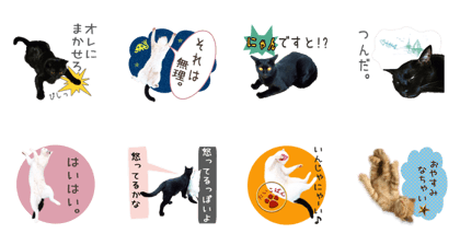 Niniko&Kuro
