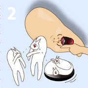 Happiness of the "knob cat", "Michiko" 2