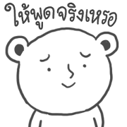 answers bear