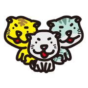 Debating TAMA