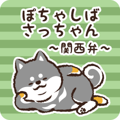 Pocha Shiba Satchan (Black)