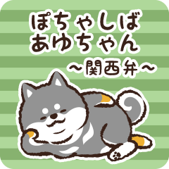 Pocha Shiba Ayuchan (Black)