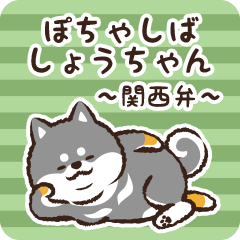 Pocha Shiba Shouchan (Black)