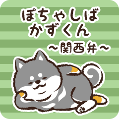 Pocha Shiba Kazukun (Black)