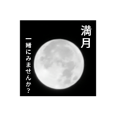 満月と君...