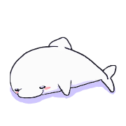 Beluga us