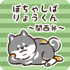 Pocha Shiba Ryoukun (Black)