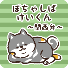 Pocha Shiba Keikun (Black)