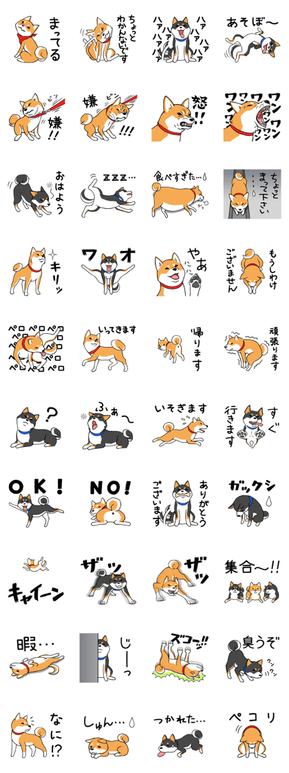 Shiba's Feelings red and black