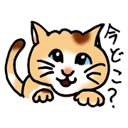 Japanese lovely cats