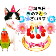 Animation Photo Sticker!Cat&Lovebird