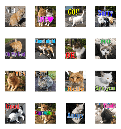 Stray cat photo Sticker2