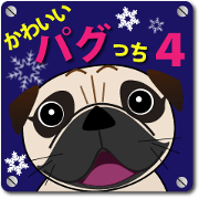 Pretty Pug!4