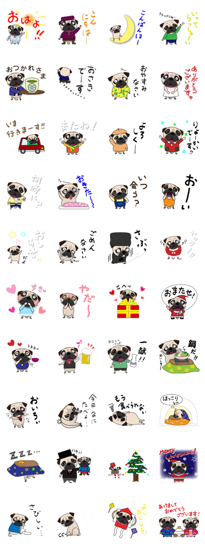 Pretty Pug!4