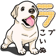 Banana's puppy Labrador retriever