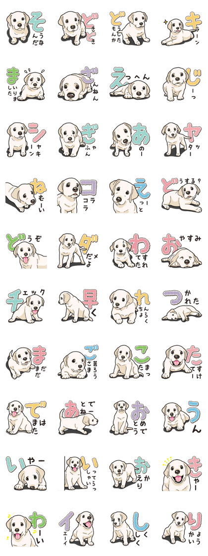 Banana's puppy Labrador retriever