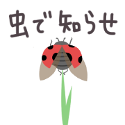 The MUSHI