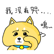 A Cute Shiba Inu