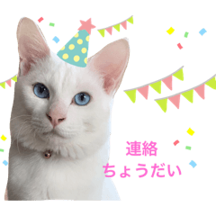 asuka_20201101171150