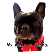 My nane is SANTA. Speak Hakata dialect.