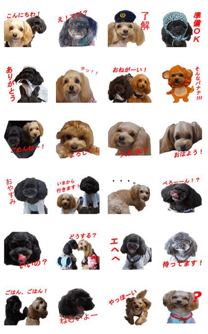 yuzuponzu Sticker 2016