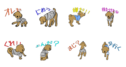 SWEAT DOG