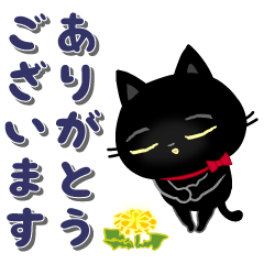 A kitten of a black cat7