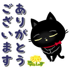 動く☆黒猫子猫ちゃん・日常生活編。 - LINE スタンプ | LINE STORE 動く☆黒猫子猫ちゃん・日常生活編。 - LINE スタンプ | LINE STORE