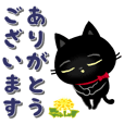 動く☆黒猫子猫ちゃん・日常生活編。