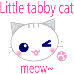 Little Tabby Cat