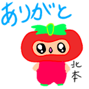 original pikorin