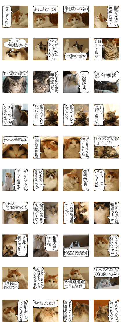 Instead tell the cat part12