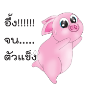 Pig Sam