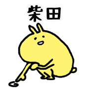Yellow SHIBATA