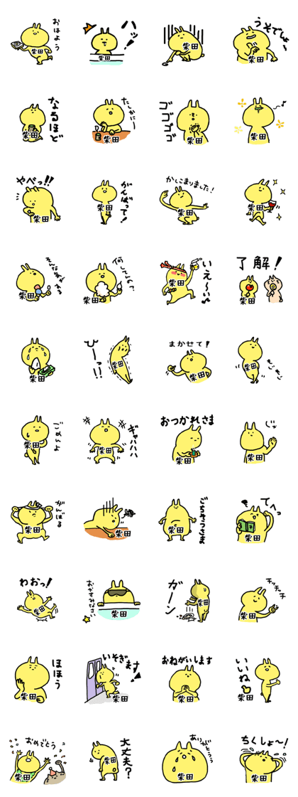 Yellow SHIBATA