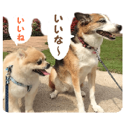 Kirara &Popo