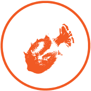 seal-style fish~working people~