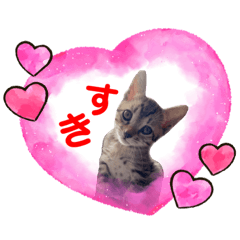 haruna_20201102084734