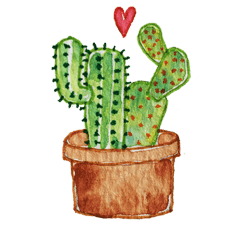 Cactus Story